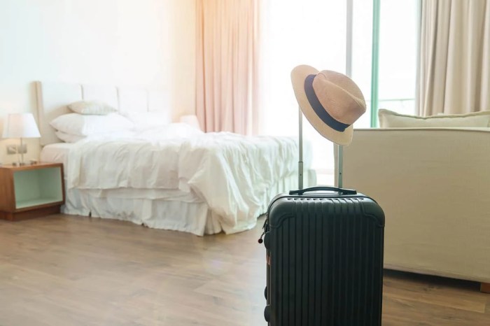 Unveiling the Secrets of Checked Baggage: Your Ultimate Guide to Smooth ...