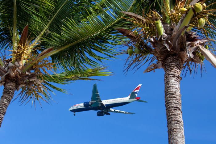 Holiday Travel Free Stock Photo - Public Domain Pictures