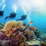 Top Scuba Diving Vacation Destinations for Your Next Adventure